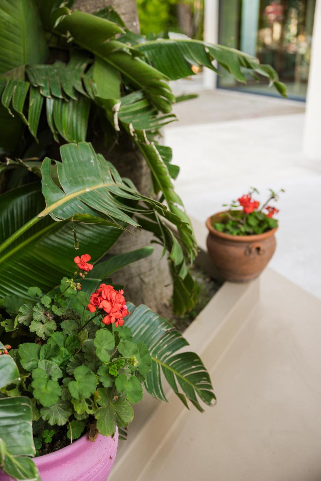 Bitez Corner Boutique Hotel Екстериор снимка